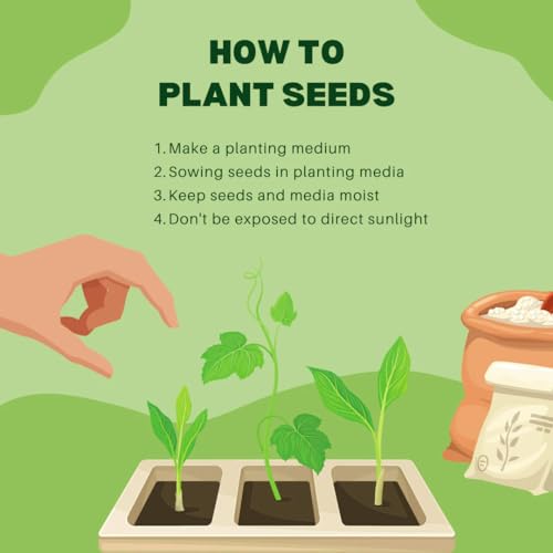 1000+ Wildflower Mix Seeds Pack - 15 Varieties Mix In One Pack - All Year Round Blooming - Easy to Care, Perfect for Indian Climate.