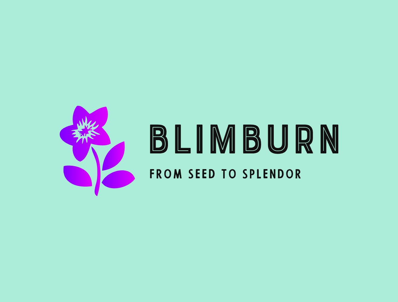 BlimBurn Hybrid Tulip Mix Flower Seeds - 50+ Seeds, Easy to Grow & Care, Suitable for All India Climates
