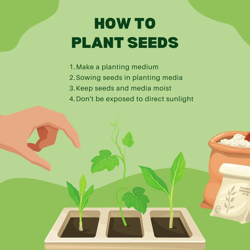 Aquatic Delight - 120 Fish Friendly Aquarium Grass Seeds, Year-Round Growth (BLUE)