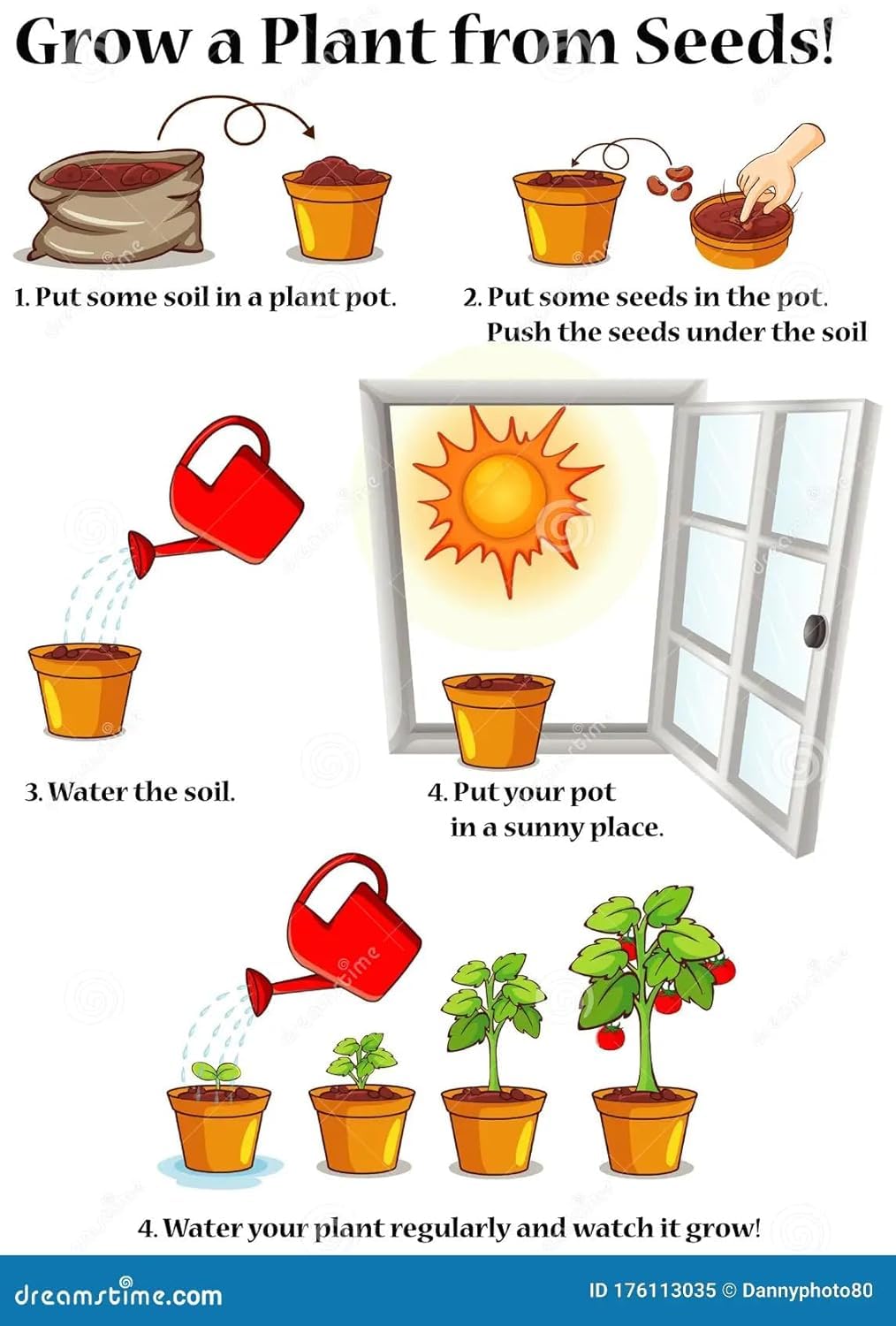 7 Multicolor Rose Gulab Flower Seeds, 105+ Seeds (Red, Blue, White, Black, Green, Pink, Yellow 15+ Pcs, Each)