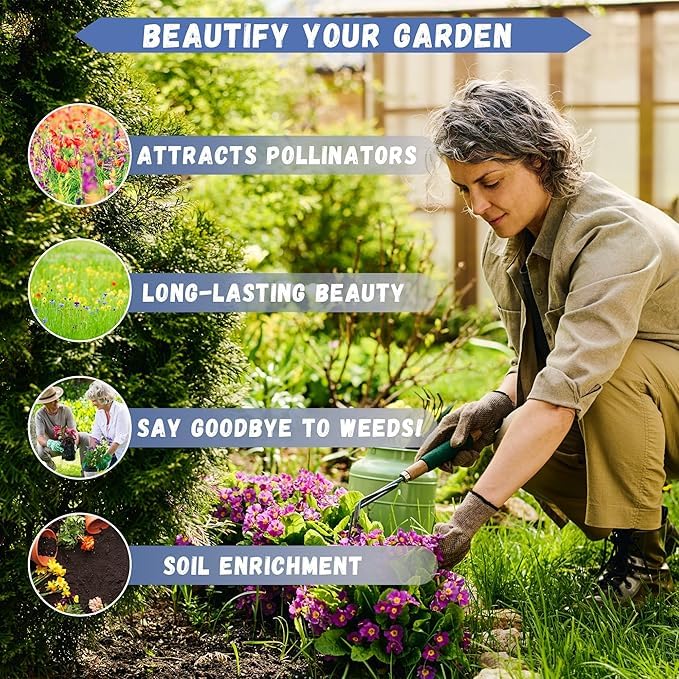 1000+ Wildflower Mix Seeds Pack - 15 Varieties Mix In One Pack - All Year Round Blooming - Easy to Care, Perfect for Indian Climate.