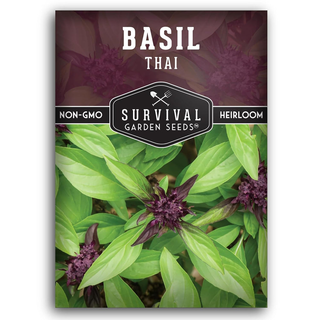 SURVIVAL GARDEN SEEDS 200+ Seeds- Thai Basil Seed For Planting -Grow Asian Basil Indoors Or Outdoors In Your Home Garden - Non-Gmo Heirloom Variety - 1 Pack