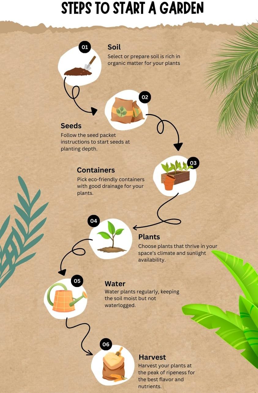 Exotic Dwarf Fruit Seeds Combo - 60 Seeds Total (20x Mulberry, 20x Blueberry, 20x Strawberry) | All Season, Easy to Grow for Balcony, Indoor, and Outdoor Home Garden in India