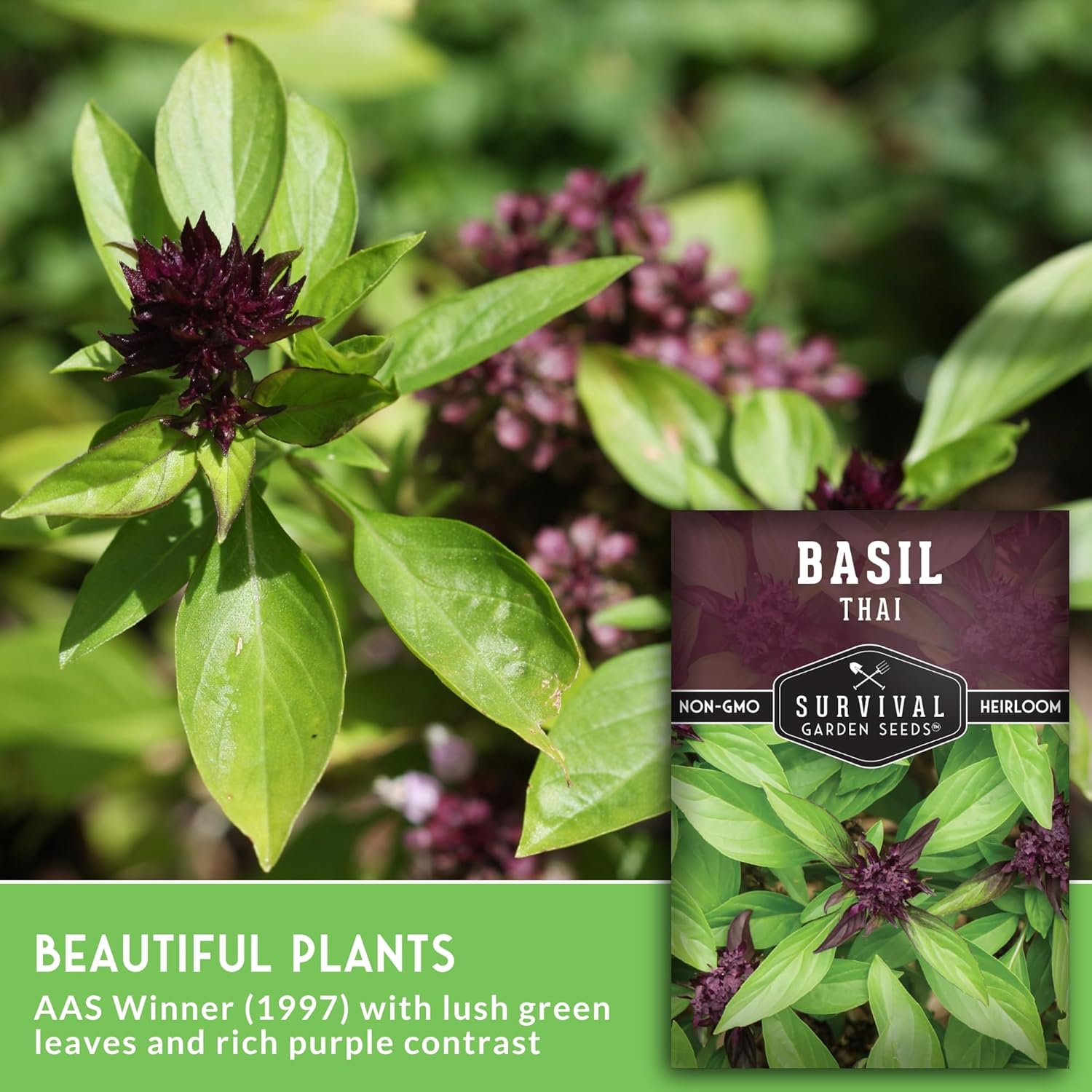 SURVIVAL GARDEN SEEDS 200+ Seeds- Thai Basil Seed For Planting -Grow Asian Basil Indoors Or Outdoors In Your Home Garden - Non-Gmo Heirloom Variety - 1 Pack