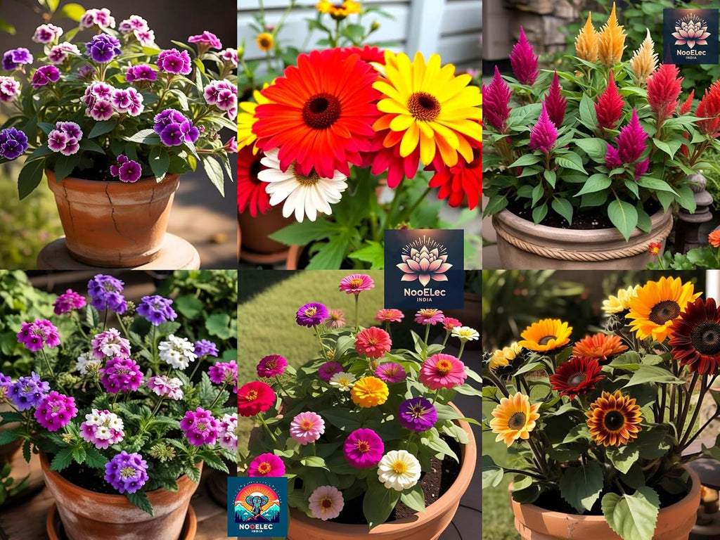 1000+ Seeds, 1000 Smiles! 20 Variety Hybrid Flower Seeds Combo Pack for Winter Blooms, September - October - November Planting, Low Maintenance.